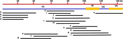 Establishment of an Efficient and Flexible Genetic Manipulation Platform Based on a Fosmid Library for Rapid Generation of Recombinant Pseudorabies Virus